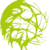 Logo for the brand Amsterdam Seed Center